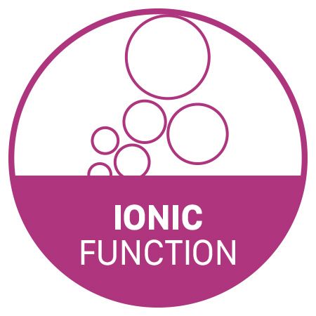 Functie Ionica pentru rezultate impecabile
